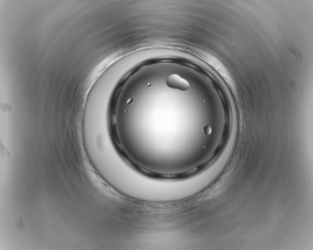 X0000090960954200708091352