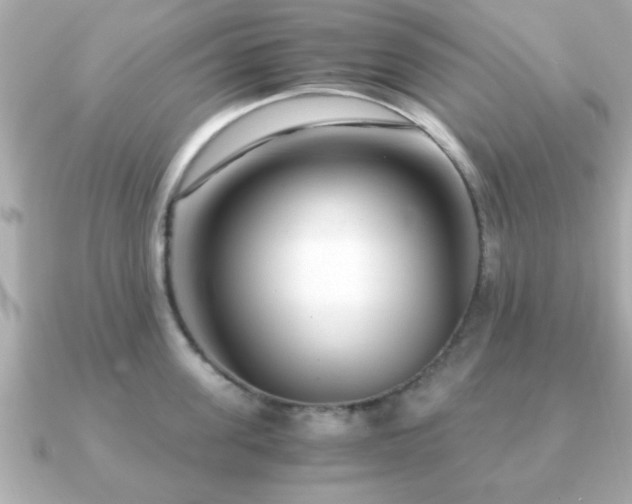 X0000090960955200708091352