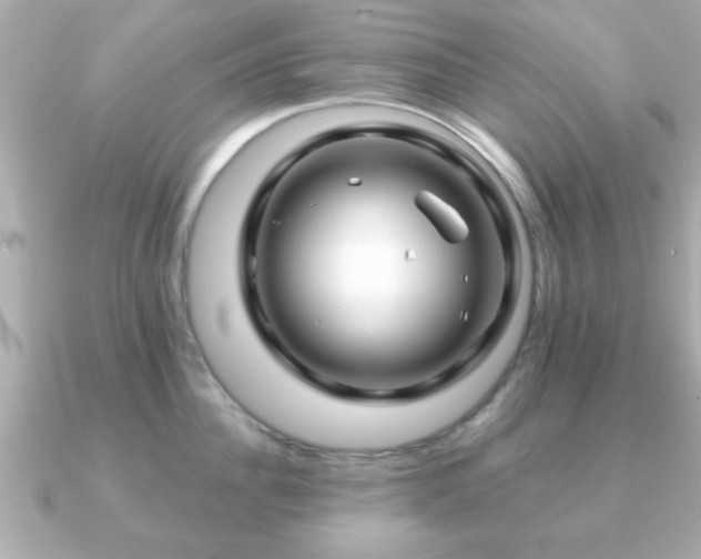 X0000090960956200708091352