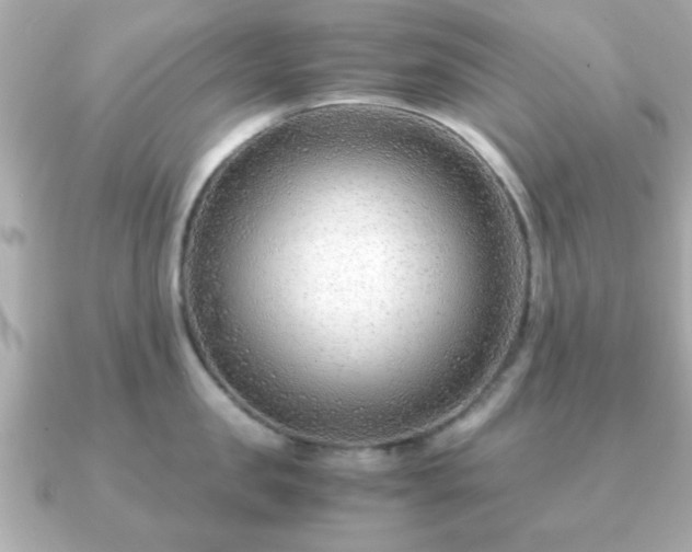 X0000090960957200708091352