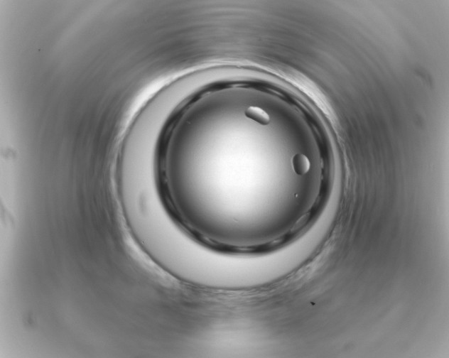 X0000090960958200708091352