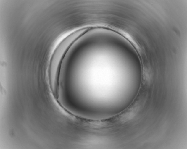 X0000090960959200708091352