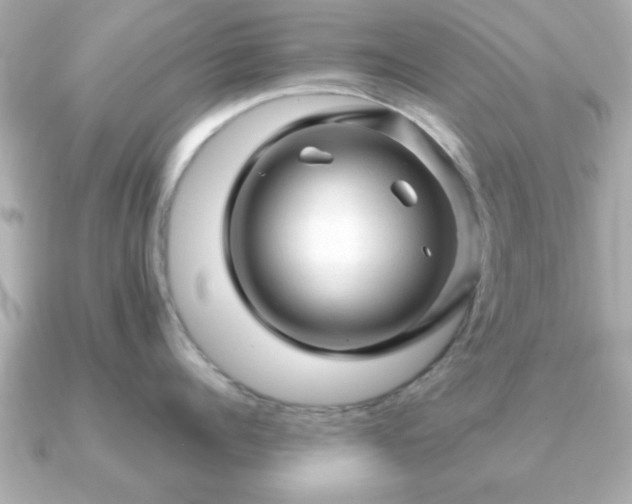 X0000090960960200708091352
