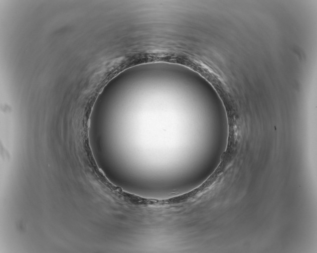 X0000090960961200708091352