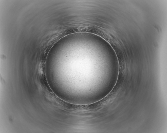 X0000090960962200708091352