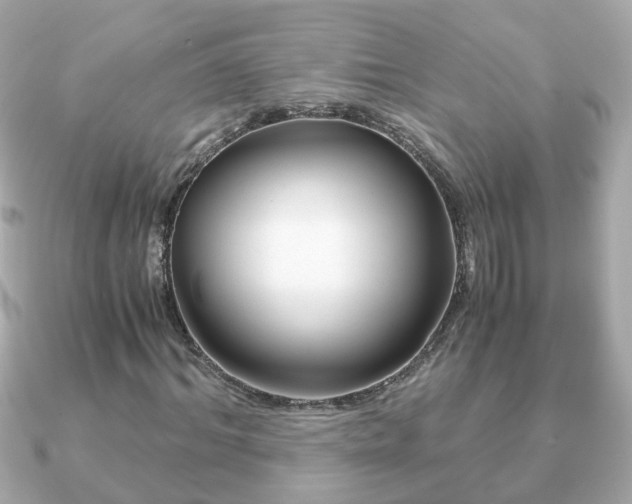 X0000090960964200708091352