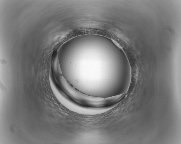 X0000090960965200708091351