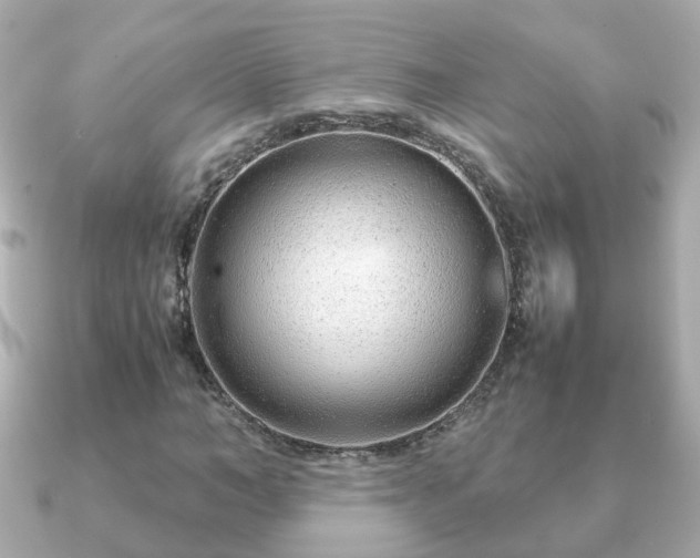 X0000090960966200708091351