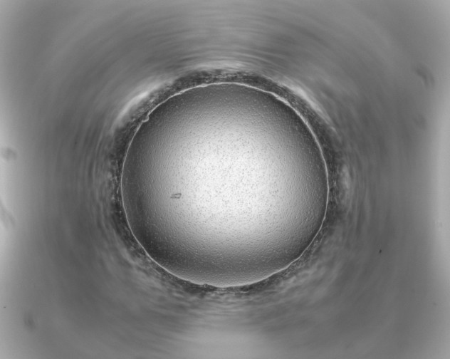 X0000090960967200708091351
