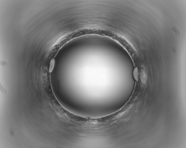 X0000090960968200708091351