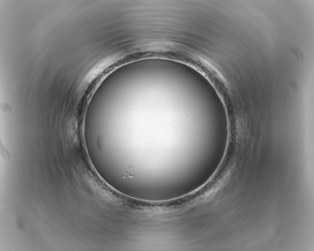 X0000090960970200708091351