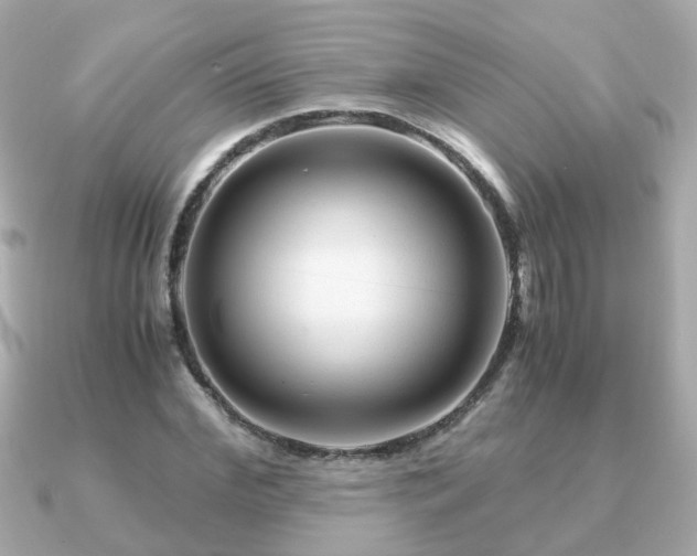 X0000090960972200708091351
