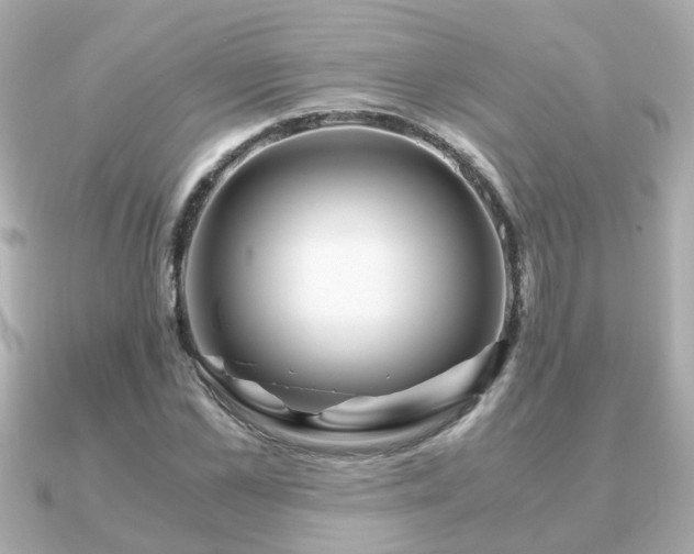 X0000090960973200708091351