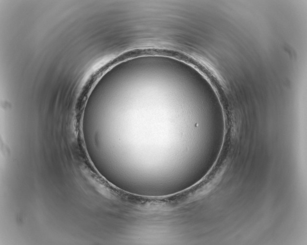 X0000090960974200708091351