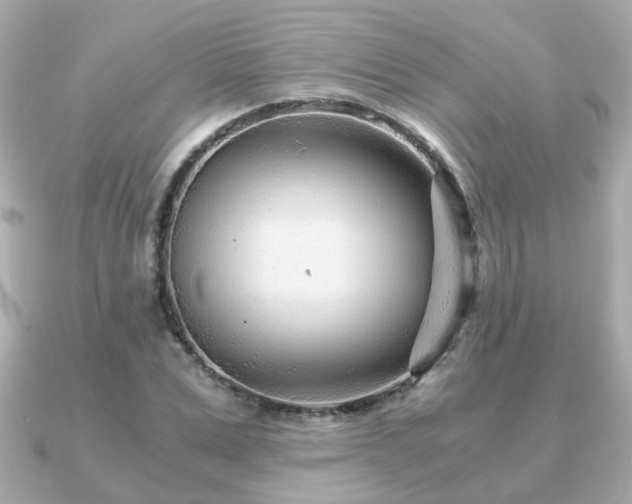 X0000090960975200708091351