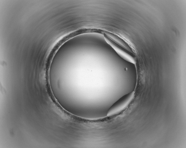 X0000090960976200708091351