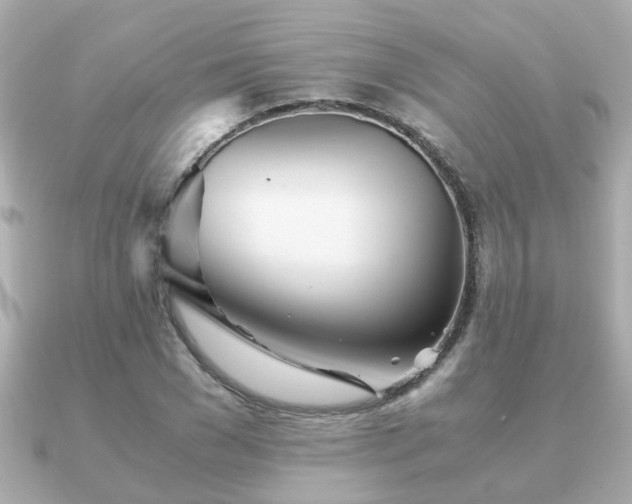 X0000090960977200708091351