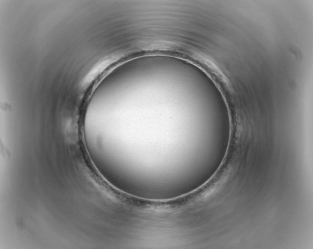 X0000090960978200708091351