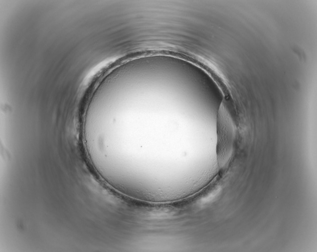X0000090960979200708091351