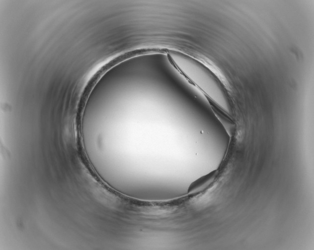 X0000090960980200708091351