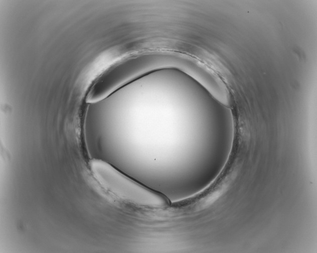 X0000090960981200708091351