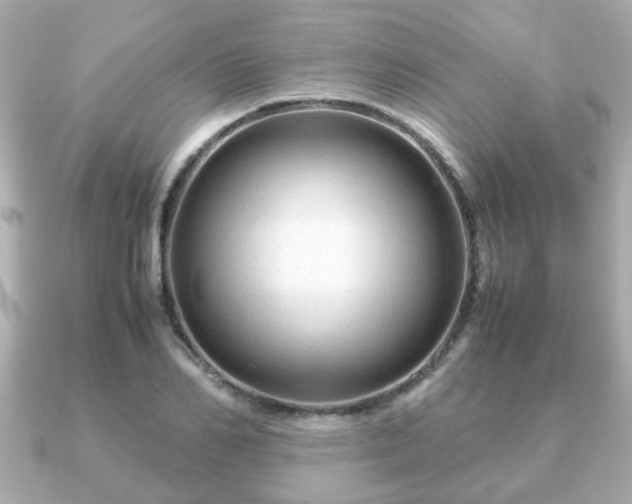 X0000090960982200708091351
