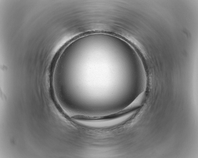 X0000090960983200708091351