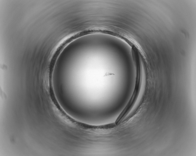 X0000090960984200708091351