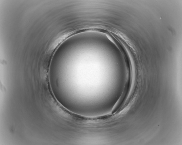 X0000090960985200708091351