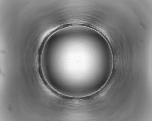 X0000090960987200708091351