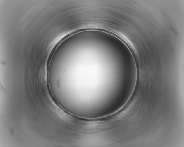 X0000090960988200708091351