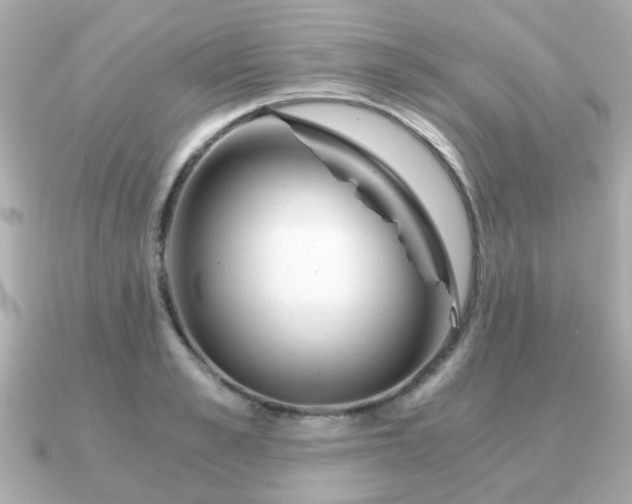 X0000090960989200708091351