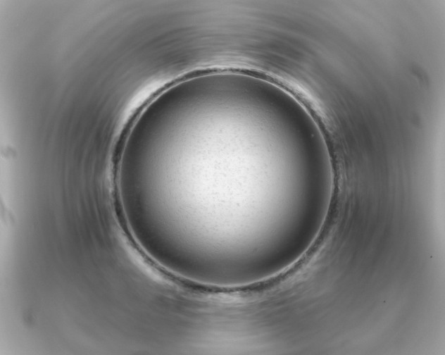 X0000090960990200708091351