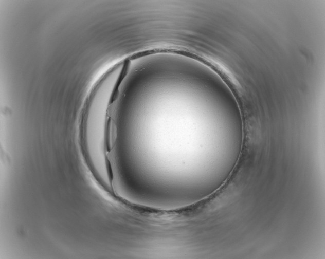 X0000090960991200708091351