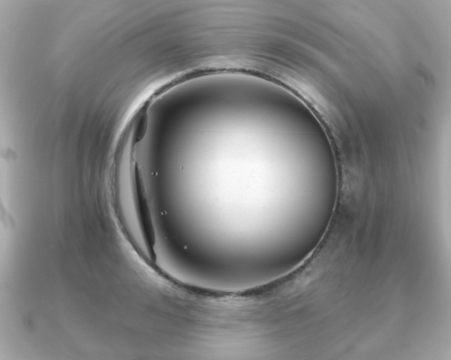 X0000090960992200708091351