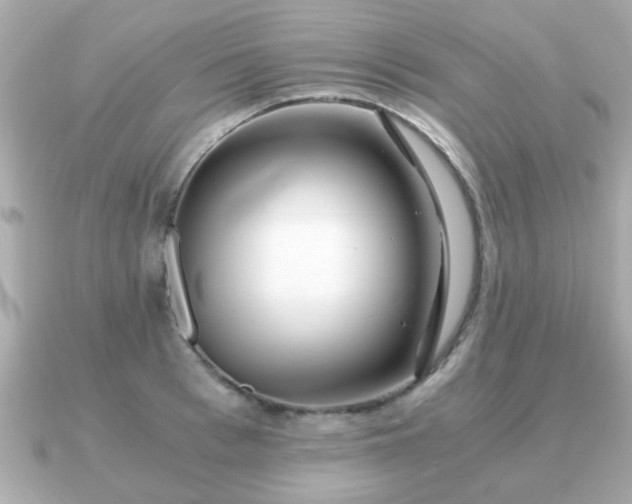 X0000090960993200708091351