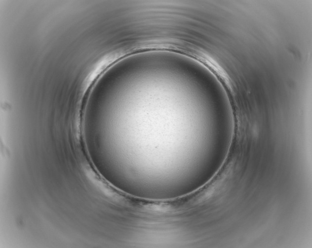 X0000090960994200708091351