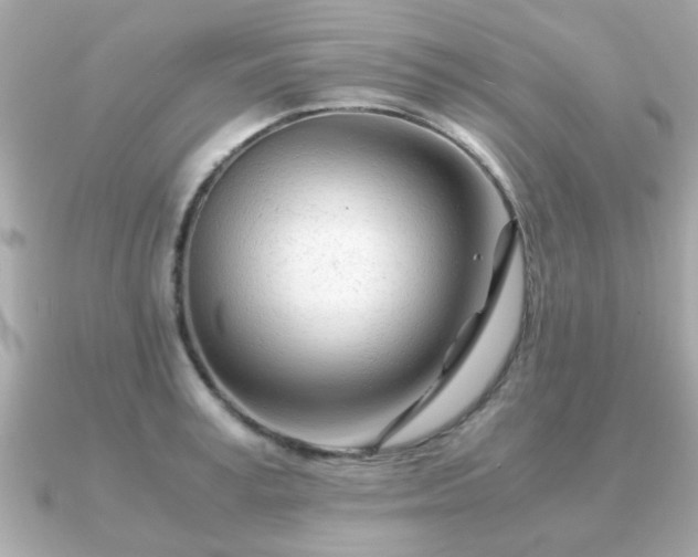 X0000090960995200708091351