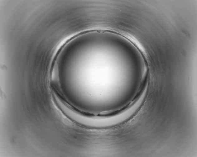 X0000090960996200708091351
