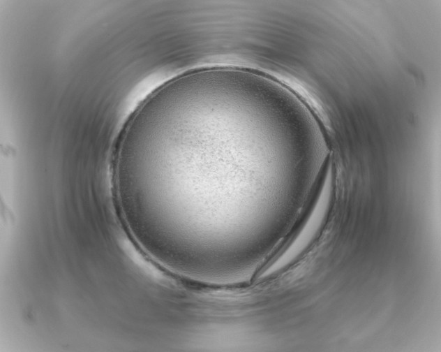 X0000090960998200708091351