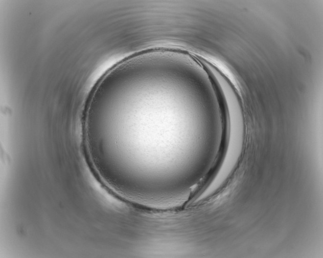 X0000090960999200708091351