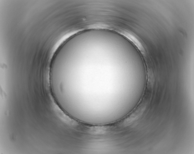 X0000090961000200708091351