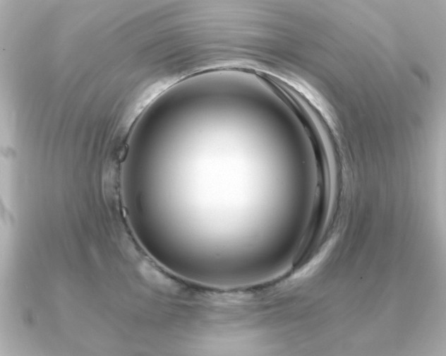 X0000090961001200708091351