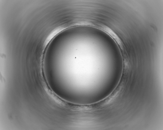 X0000090961002200708091351