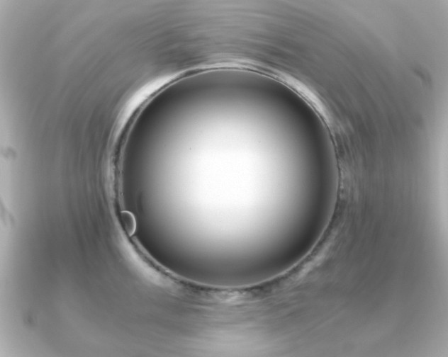 X0000090961003200708091351