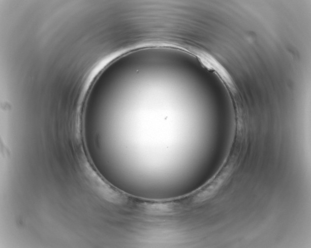 X0000090961004200708091351