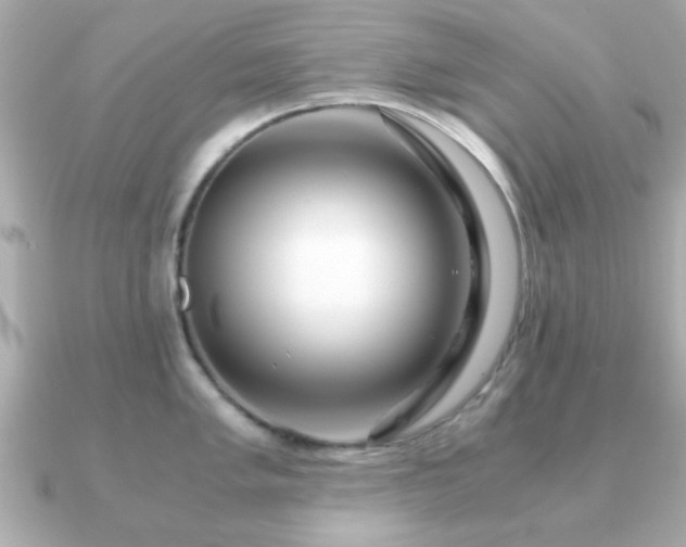 X0000090961005200708091351