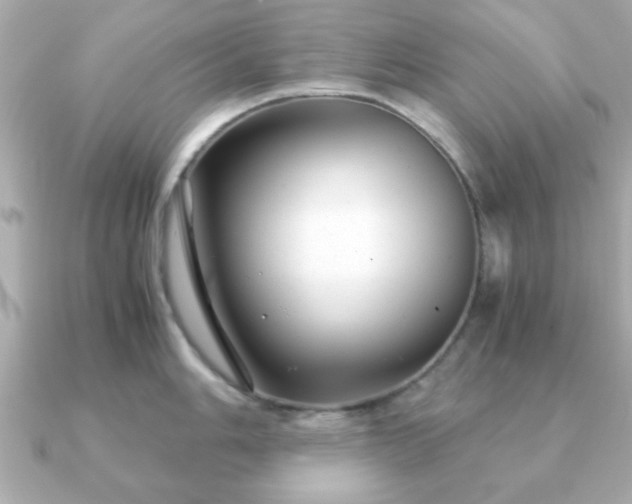 X0000090961006200708091351
