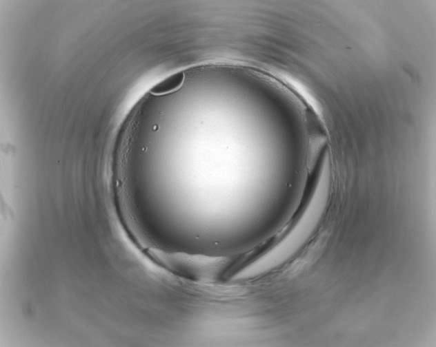 X0000090961007200708091351