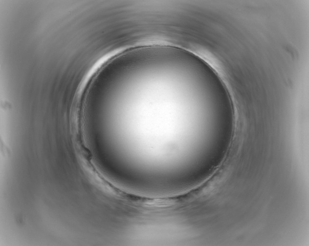 X0000090961008200708091351